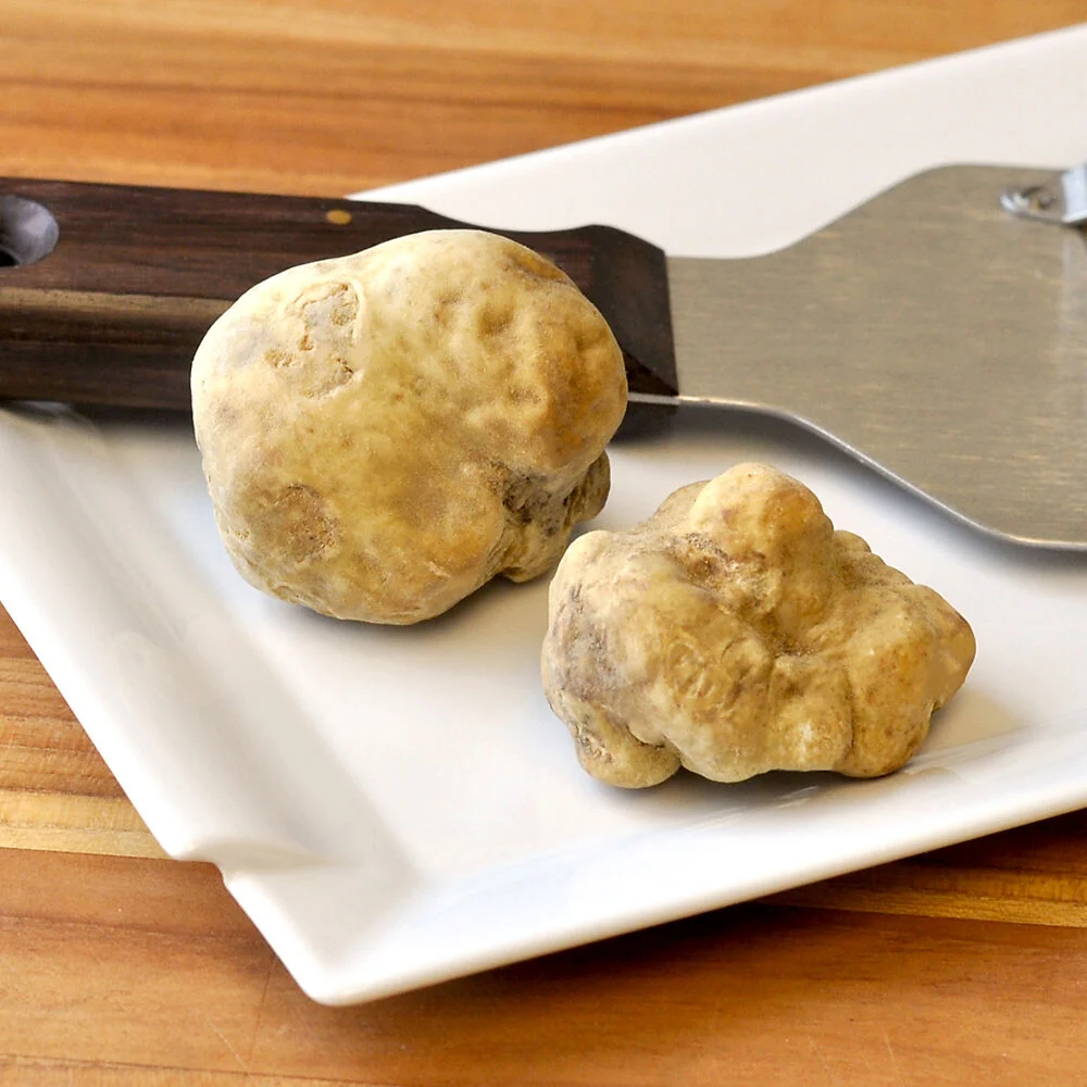 Fresh Italian White Truffle (Tuber Magnatum Pico)