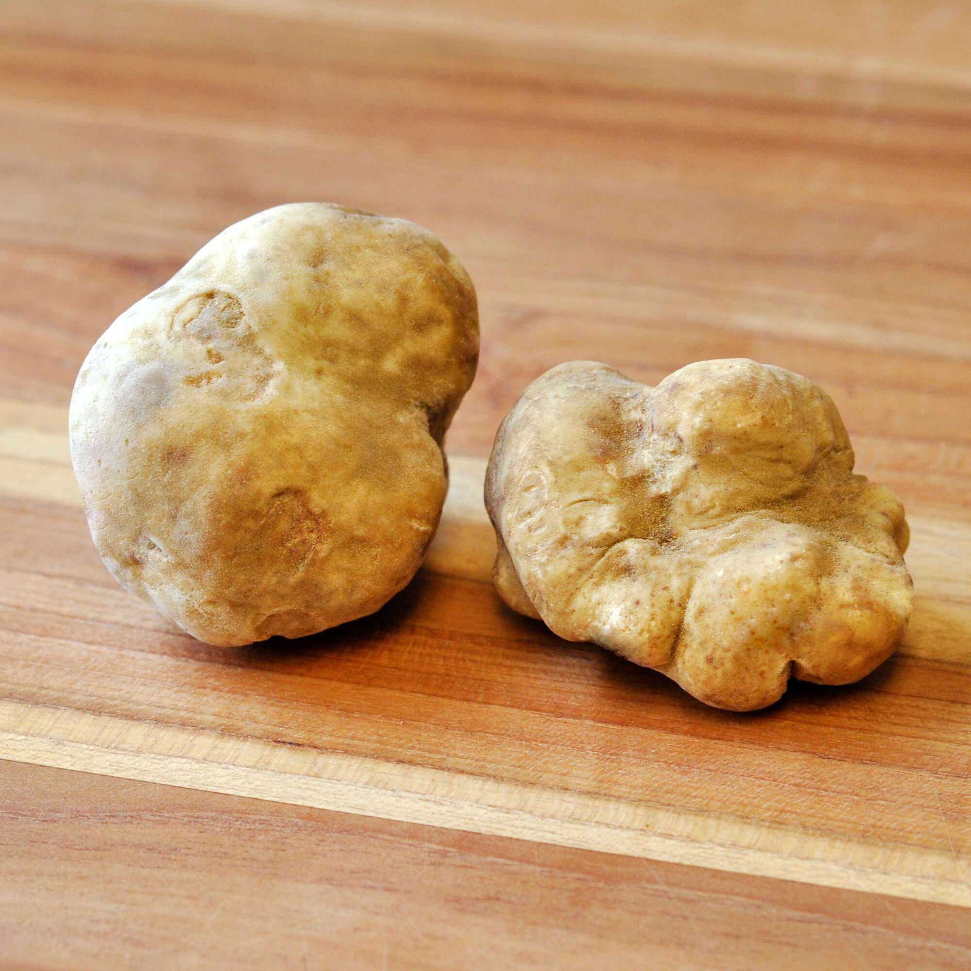 Fresh Italian White Truffle (Tuber Magnatum Pico) 3 Fresh Italian White Truffle (Tuber Magnatum Pico)