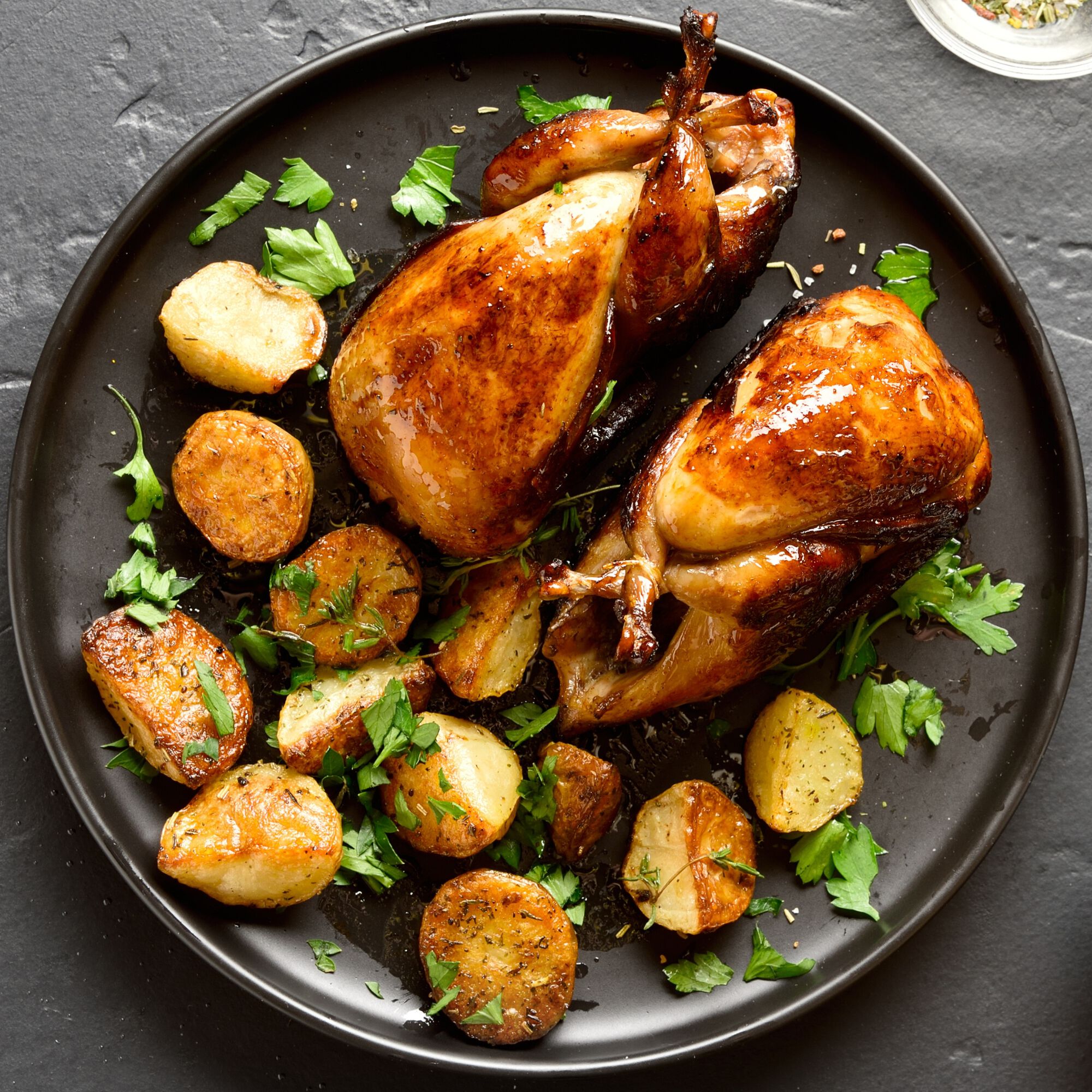 European Jumbo Quail