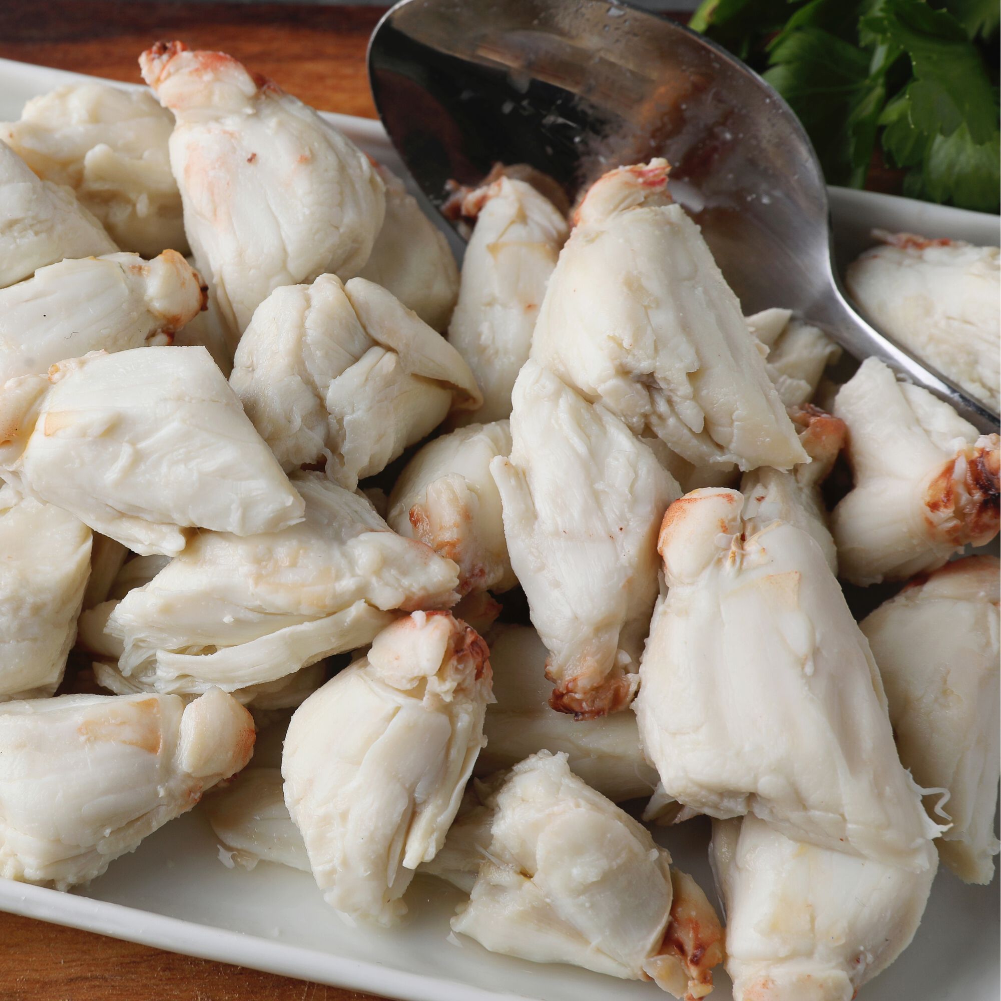 Meribelle Colossal Crab 3 Meribelle Colossal Crab