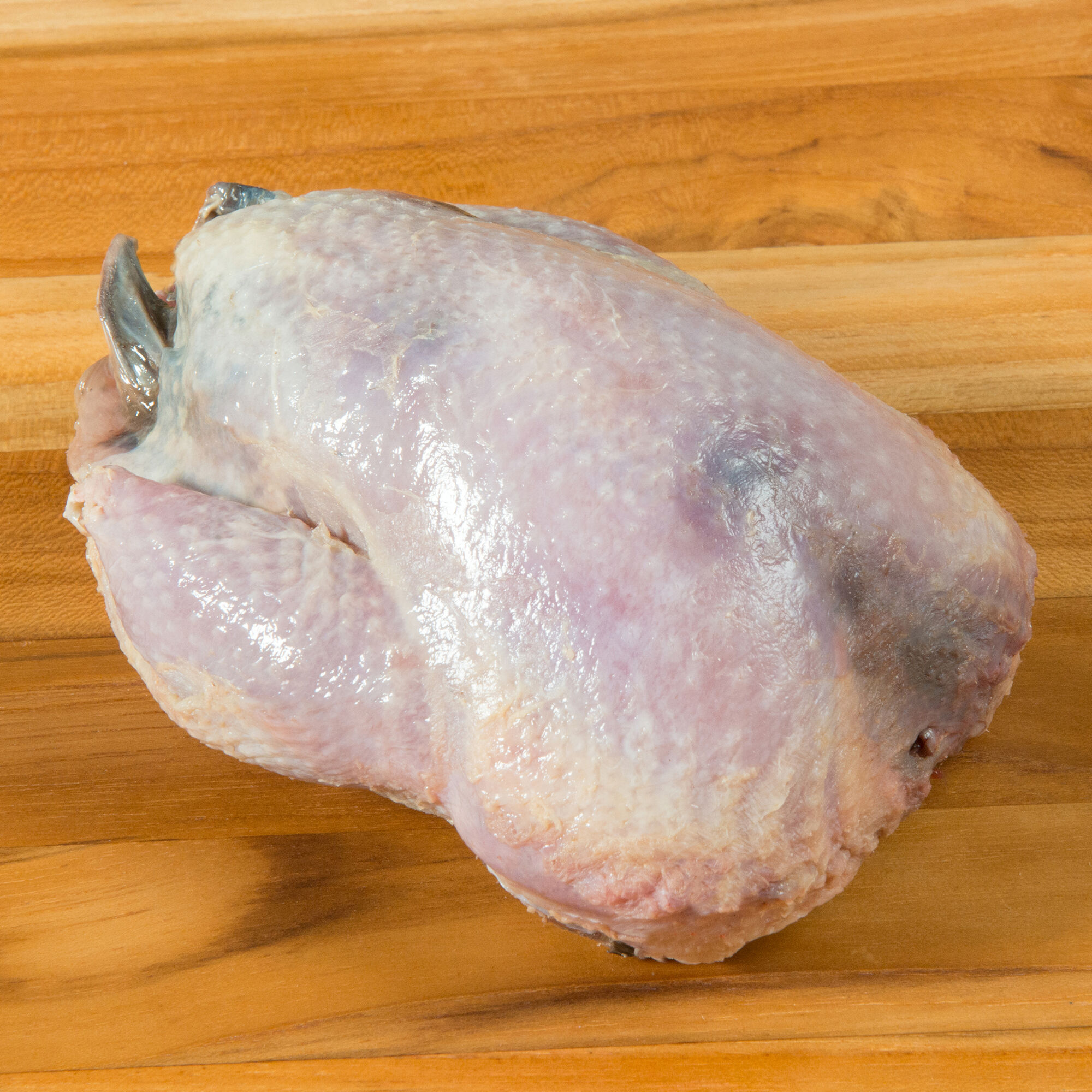 Wild Scottish Red-Legged Partridge 3 Wild Scottish Red-Legged Partridge