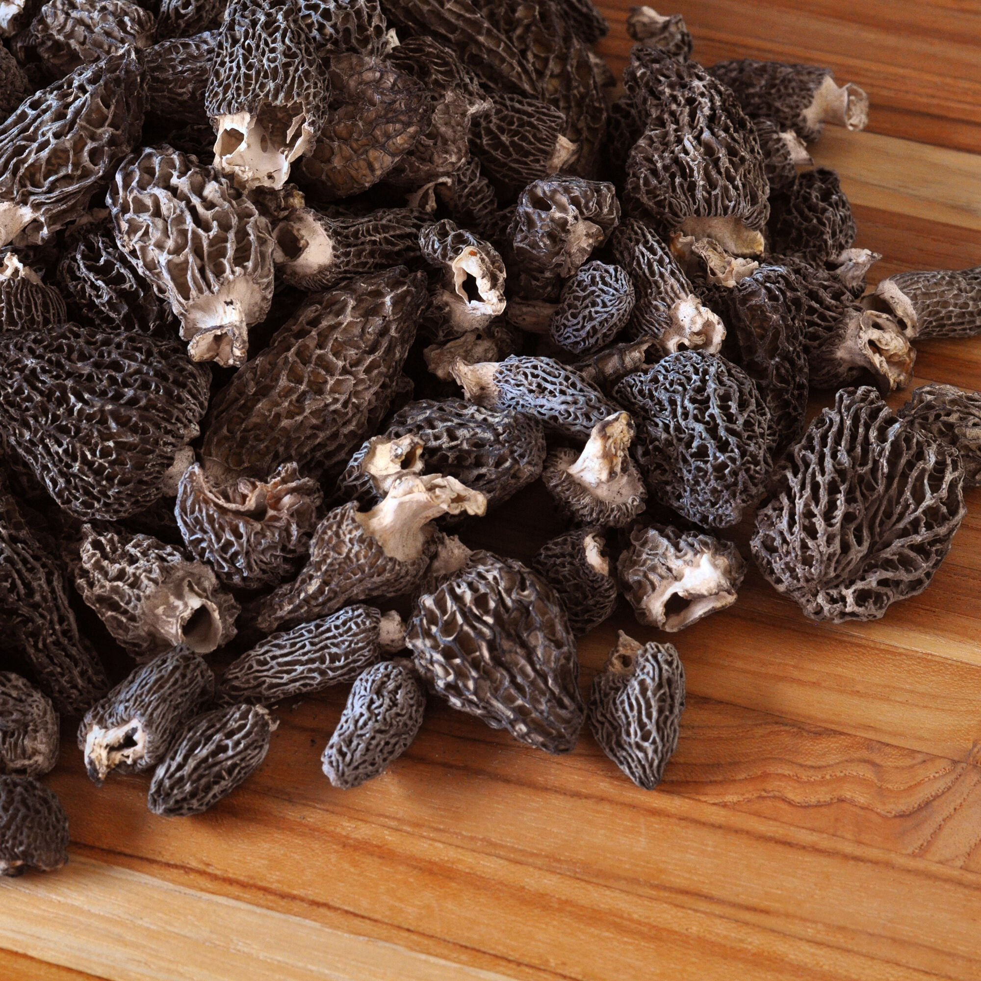 Dried Morel Mushrooms
