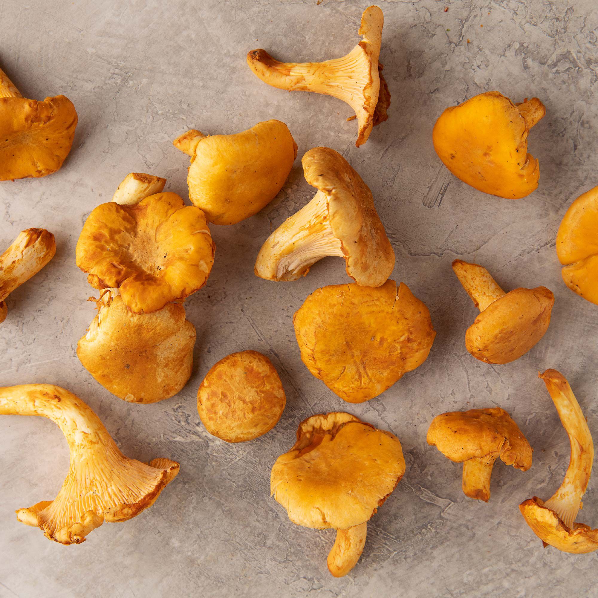 Chanterelle Mushrooms
