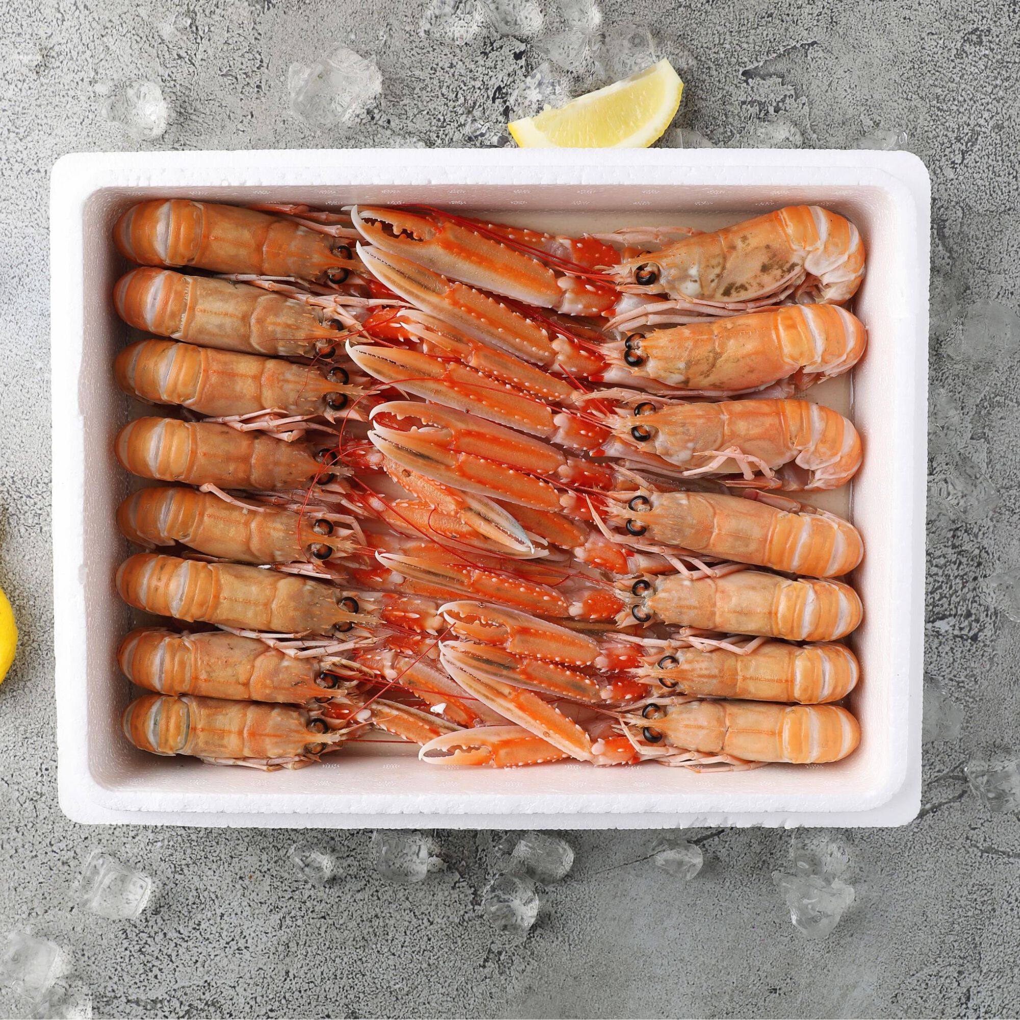 Day Boat Scottish Langoustines 3 Day Boat Scottish Langoustines
