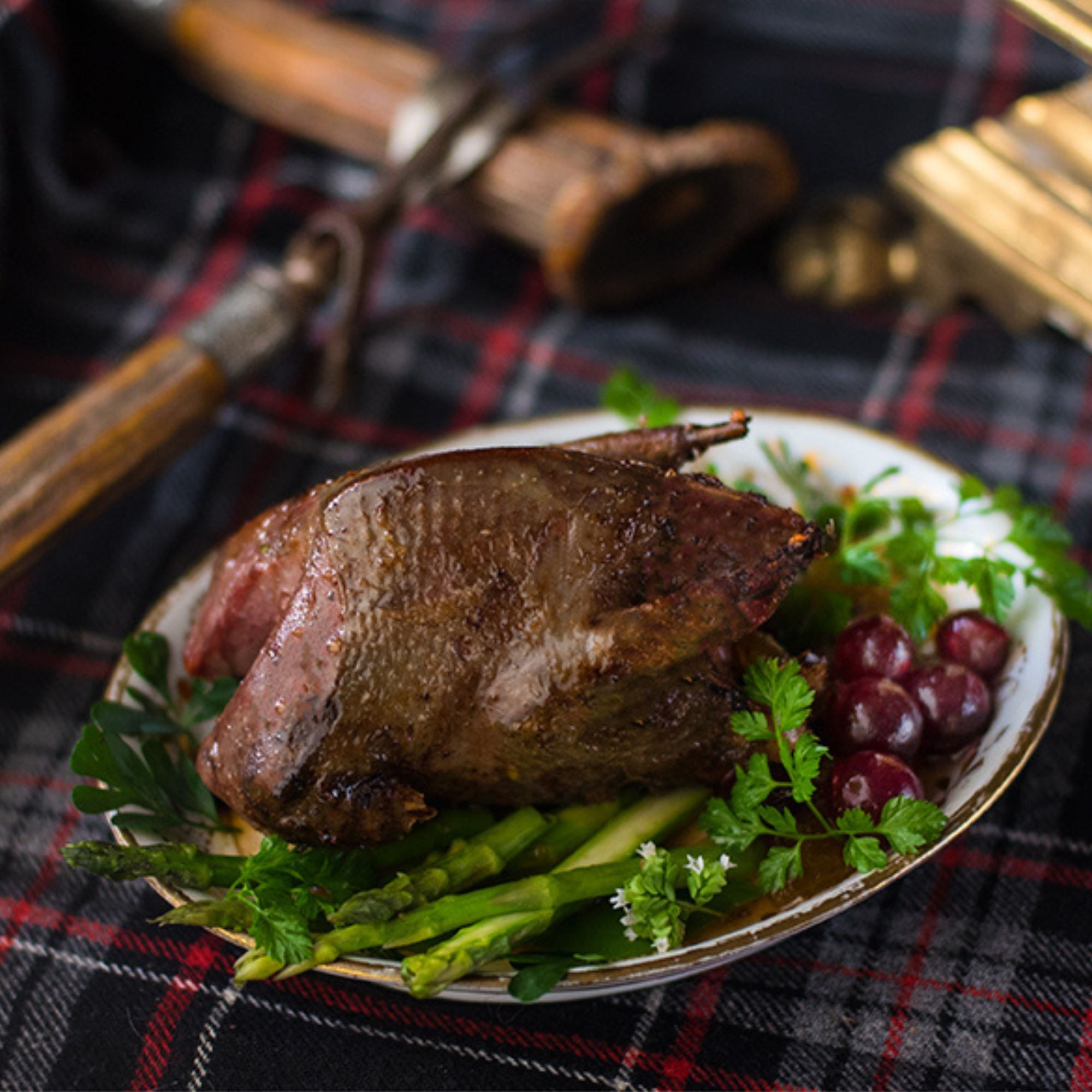 Wild Scottish Wood Pigeon