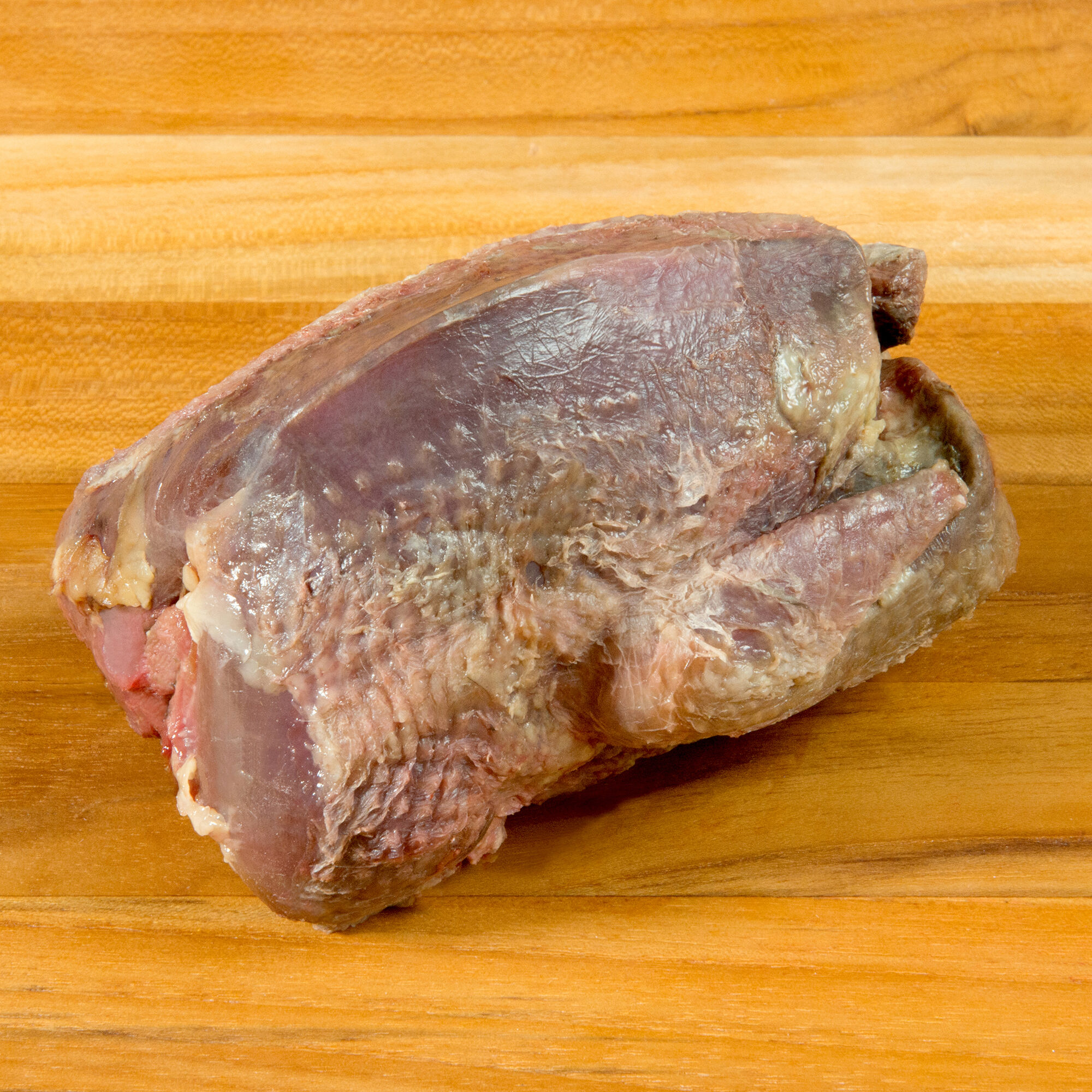 Wild Scottish Wood Pigeon 3 Wild Scottish Wood Pigeon