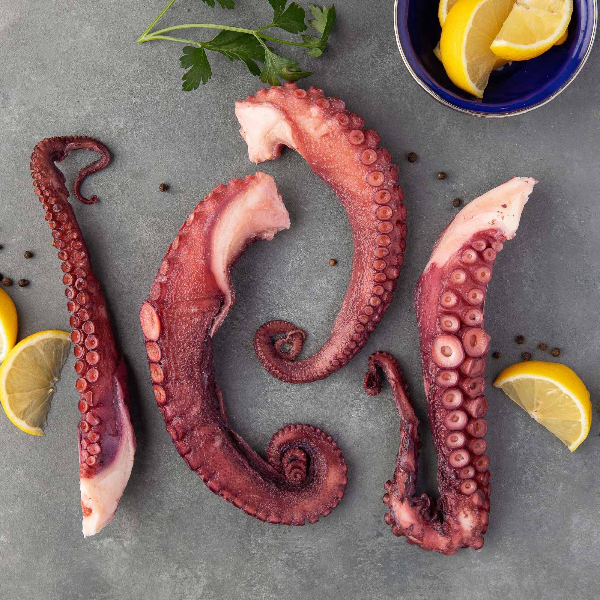 Wild Spanish Octopus 3 Wild Spanish Octopus