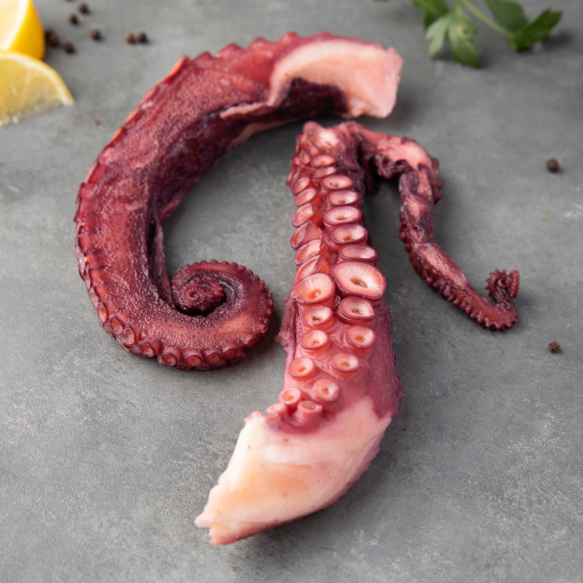 Wild Spanish Octopus 4 Wild Spanish Octopus